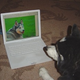 Image for article titled How to Comment: Follow Your Friends